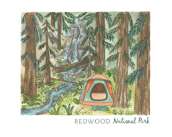 Redwood National Park Print