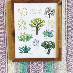 May include: A framed print featuring watercolor illustrations of native plants of Joshua Tree. The artwork includes images of the Joshua Tree, Prickly Pear Cactus, and Mojave Aster, among others. The frame is made of wood and rests on a striped textile.
