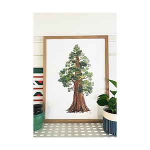 Sequoia Tree Print: Large Gouache Painting on Matte Paper (18x24) bild 1