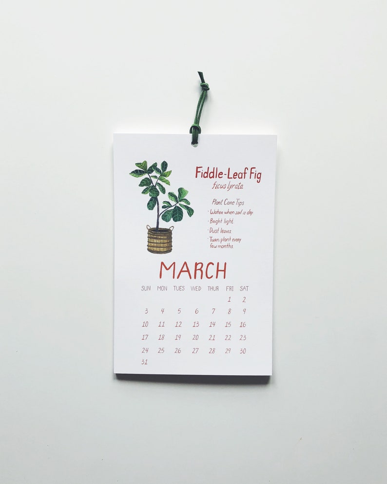 2023 House Plants Calendar Etsy Australia
