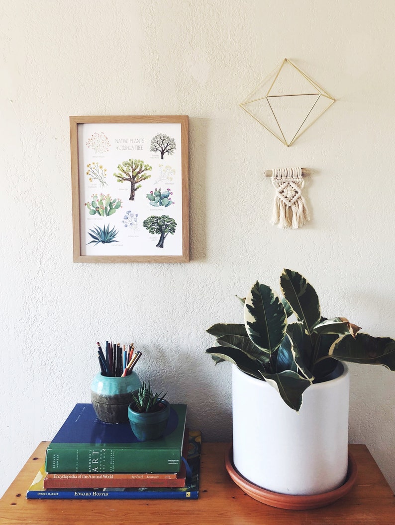 May include: A framed print titled "Native Plants & Joshua Tree" hangs on a white wall. Below, a wooden table holds a white ceramic pot with a plant, books, and a small teal vase with pencils. A gold geometric wall hanging and a macrame piece are also on the wall.
