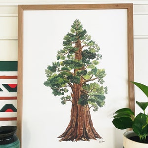 Sequoia Tree Print: Large Gouache Painting on Matte Paper (18x24) bild 3