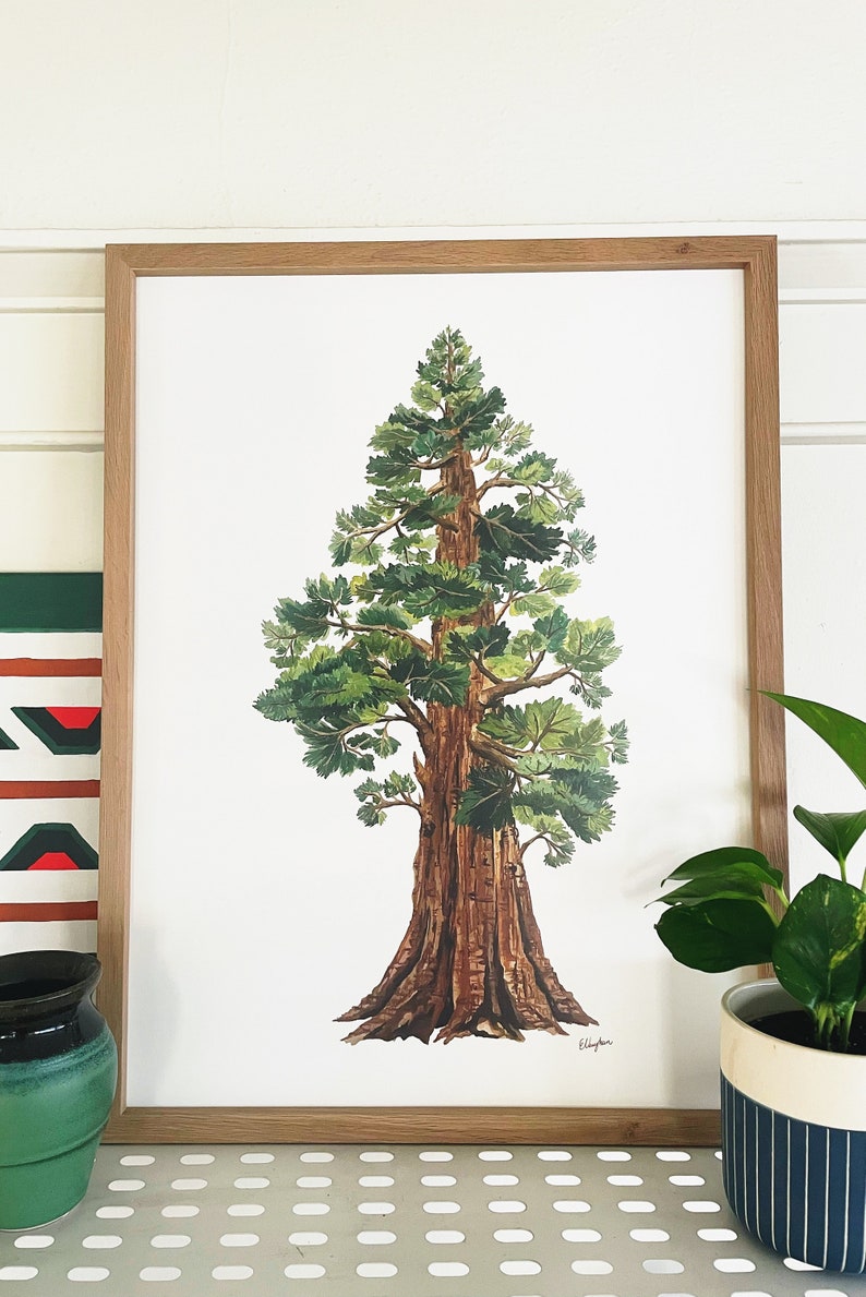 Sequoia Tree Print: Large Gouache Painting on Matte Paper (18x24) bild 3