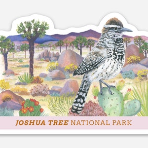 Joshua Tree Cactus Wren Bumper Sticker