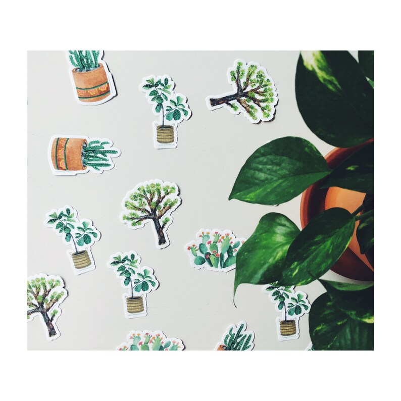May include: A collection of plant-themed stickers featuring watercolor illustrations of cacti, trees, and potted plants. The stickers are in various shapes and sizes, with a neutral background and a potted plant in the corner.