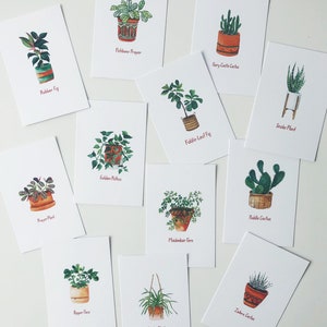 House Plant Postcard Pack of 12 4x6 size image 4