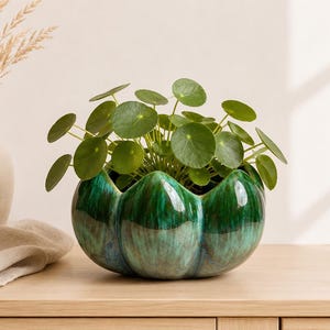 May include: A glossy, scalloped ceramic planter with a deep emerald and teal reactive glaze finish. The bowl-shaped vessel features rounded, petal-like segments and contains a vibrant green Pilea peperomioides plant with round, coin-shaped leaves.