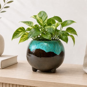 May include: A spherical, dark brown ceramic plant pot with a turquoise rim, containing a green and yellow pothos plant. The pot has three small feet. A white vase with greenery is to the left.