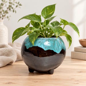 May include: A round, three-legged ceramic planter featuring a glossy black base and a vibrant turquoise drip glaze at the top. A lush green pothos plant with variegated heart-shaped leaves grows from the pot, filling the space above the rim.