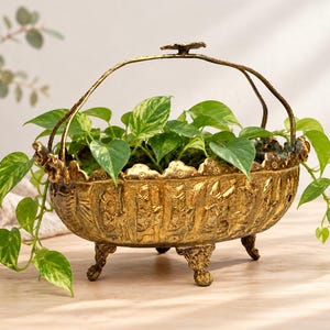 May include: An oval-shaped gold-toned metal planter with an ornate embossed pattern, featuring four decorative feet and a curved handle. The planter contains a green pothos plant with variegated leaves that spill over the edges.