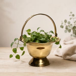 Puede incluir: Una maceta de latón pulido con borde festoneado y asa arqueada a juego. El recipiente en forma de cuenco se asienta sobre una base circular y contiene una pequeña planta verde con hojas y tallos que cuelgan sobre el borde metálico.