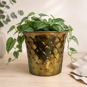 Puede incluir: Una maceta de metal en tono latón con un patrón texturizado de escamas repetidas en el exterior. La maceta contiene una planta de interior colgante con hojas verdes en forma de corazón que presentan variegación plateada sobre el borde.
