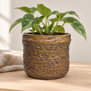 May include: A cylindrical ceramic plant pot with a textured, dimpled surface in shades of bronze, brown, and gold. The pot contains a green and white variegated pothos plant with heart-shaped leaves extending from the top opening.