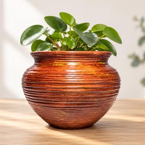 May include: A round, bulbous plant pot with a textured, horizontal ribbed surface in a deep, metallic copper and bronze finish. The pot contains a small, green Pilea peperomioides plant with round, succulent-like leaves extending outwards.