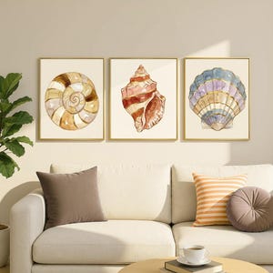 Può includere: Tre stampe da parete incorniciate con illustrazioni ad acquerello di conchiglie. La stampa a sinistra mostra una conchiglia a spirale nei toni del marrone e del beige. Quella centrale raffigura una conchiglia appuntita bruno-rossastra. Quella a destra una conchiglia a ventaglio.