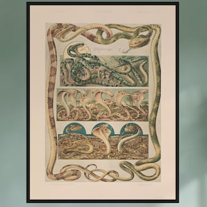 Schlange Poster Vintage Jugendstil, Retro Tier Illustration Wand Druck Home Decor