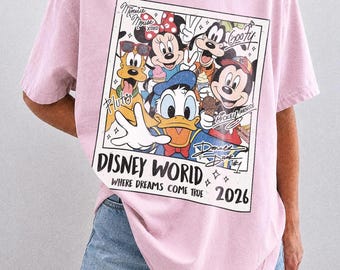 Vintage Mickey and Friends Disneyworld Shirt, Walt Disney World Tee