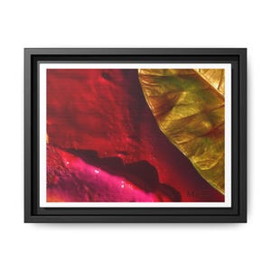 Puede incluir: Impresión artística abstracta que presenta un primer plano de una hoja roja y dorada. La obra de arte está enmarcada en un marco negro con un borde blanco. Los colores son vibrantes y la textura es visible.