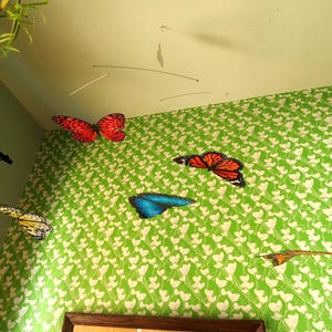 May include: A hanging mobile featuring five butterfly cutouts suspended from thin metal wires. The butterflies display various colors including red, orange, blue, yellow, and brown, each with detailed wing patterns, suspended against a green wall.