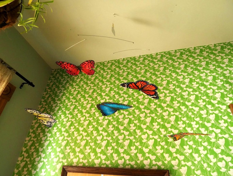 May include: A hanging mobile featuring five butterfly cutouts suspended from thin metal wires. The butterflies display various colors including red, orange, blue, yellow, and brown, each with detailed wing patterns, suspended against a green wall.