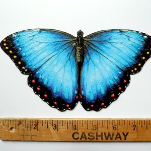 May include: A blue butterfly cutout with black wing edges featuring yellow, red, and turquoise dots. A wooden ruler is positioned underneath, showing the butterfly spans approximately 6 inches in width from tip to tip on the scale.