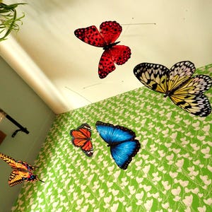 May include: A mobile featuring five decorative butterflies in various colors and patterns, including red with black spots, yellow and black, orange and black, blue and black, and yellow and black, suspended from thin wires against a white ceiling.