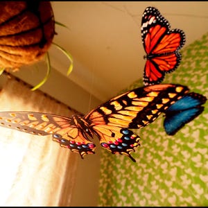 May include: A hanging mobile featuring three butterfly ornaments. One butterfly is orange and black, another is yellow, black, and blue, and the third is a solid blue. The butterflies are suspended by thin, clear strings, creating a floating effect.