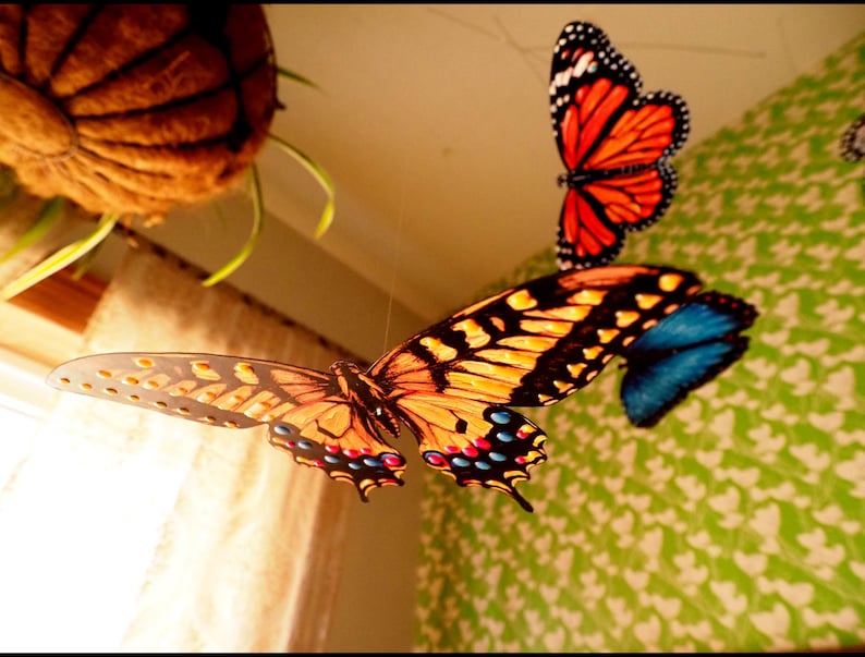 May include: A hanging mobile featuring three butterfly ornaments. One butterfly is orange and black, another is yellow, black, and blue, and the third is a solid blue. The butterflies are suspended by thin, clear strings, creating a floating effect.