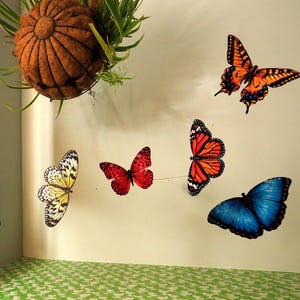 May include: A collection of five decorative butterfly wall decals in various colors including orange, yellow, red, and blue. The butterflies are arranged in a scattered pattern on a plain wall, featuring detailed wing patterns and realistic shapes.