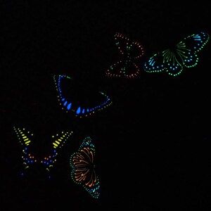 May include: A collection of four butterflies depicted in a bioluminescent style against a solid black background. Each butterfly features intricate patterns created with glowing dots and lines in vibrant shades of blue, green, orange, and red.