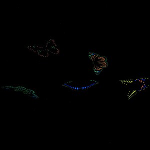 May include: Five distinct butterfly shapes are arranged against a solid black background. Each butterfly is composed of small, glowing dots in vibrant colors including neon orange, bright blue, lime green, and yellow, creating a bioluminescent effect.