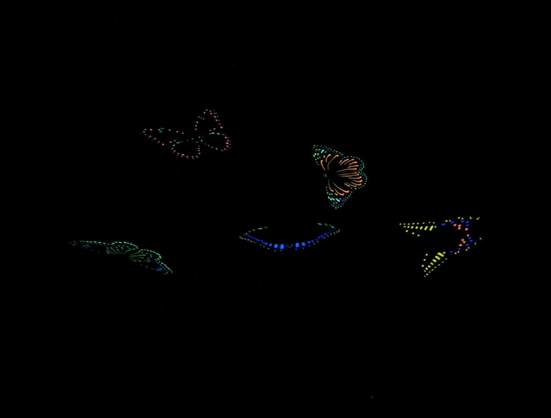 May include: Five distinct butterfly shapes are arranged against a solid black background. Each butterfly is composed of small, glowing dots in vibrant colors including neon orange, bright blue, lime green, and yellow, creating a bioluminescent effect.