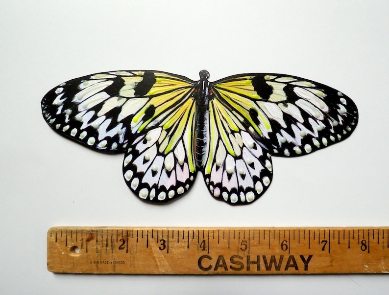 May include: A paper butterfly cutout featuring a yellow, black, and white wing pattern with raised white dots. The butterfly is positioned above a wooden ruler that shows a width of approximately 8 inches from tip to tip of the wings.