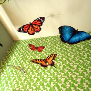 May include: A collection of five butterfly wall decals applied to a bright green wall with a white heart pattern. The butterflies include a large orange and black monarch, a large blue morpho, a smaller red butterfly, a yellow swallowtail, and a small green one.