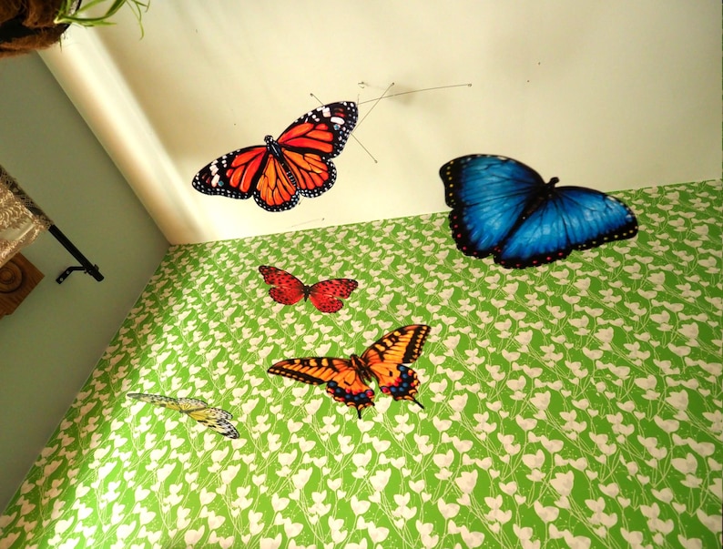 May include: A collection of five butterfly wall decals applied to a bright green wall with a white heart pattern. The butterflies include a large orange and black monarch, a large blue morpho, a smaller red butterfly, a yellow swallowtail, and a small green one.