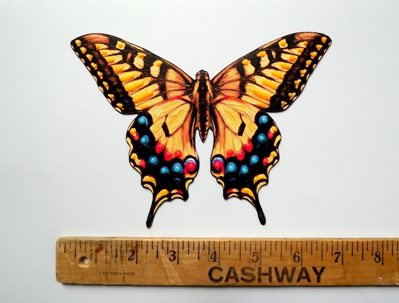 May include: A flat, die-cut butterfly illustration featuring yellow, black, and orange wings with blue and red circular accents. The butterfly is positioned above a wooden ruler that shows a width of approximately 8 inches from tip to tip.