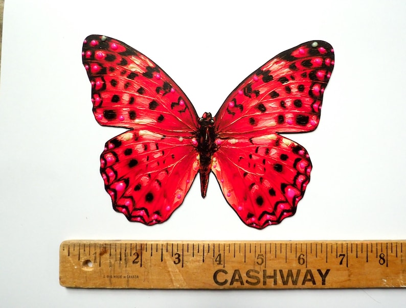 May include: A vibrant red butterfly cutout with black spots and pink accents, positioned above a wooden ruler that shows the butterfly has a wingspan of approximately 8 inches. The butterfly features symmetrical wings with detailed patterns.