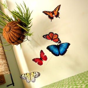 May include: A hanging mobile featuring a round brown coconut fiber planter with green grass-like foliage and five colorful butterfly cutouts in orange, red, blue, and yellow patterns suspended at varying heights against a plain white wall.