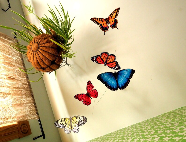 May include: A hanging mobile featuring a round brown coconut fiber planter with green grass-like foliage and five colorful butterfly cutouts in orange, red, blue, and yellow patterns suspended at varying heights against a plain white wall.