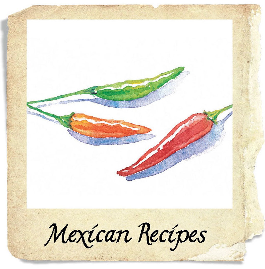 Green Chili Mexican Dish, Beef or Pork Mexican Green Chili for Burritos