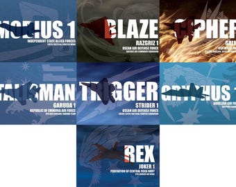 Ace Combat Vinyl Stickers - fighter plane, video game, gaming, fighter jet, f-22, f-15, f-14, military, decal