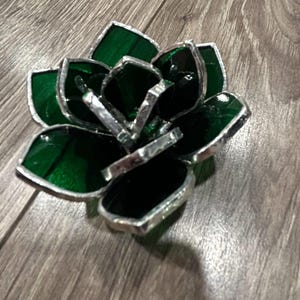 Mini Succulent Pattern Bundle image 5