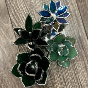 Succulent Stained Glass Pattern Collection