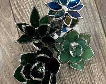 Succulent Stained Glass Pattern Collection