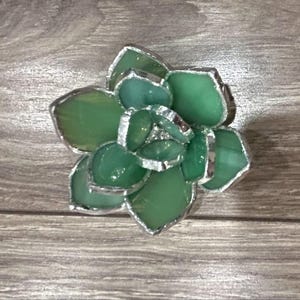 Mini Succulent Pattern Bundle image 3
