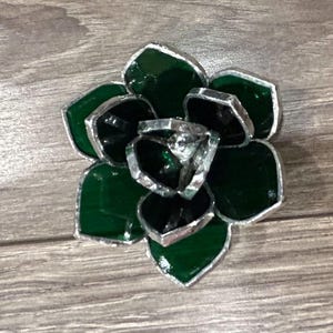 Mini Succulent Pattern Bundle image 4
