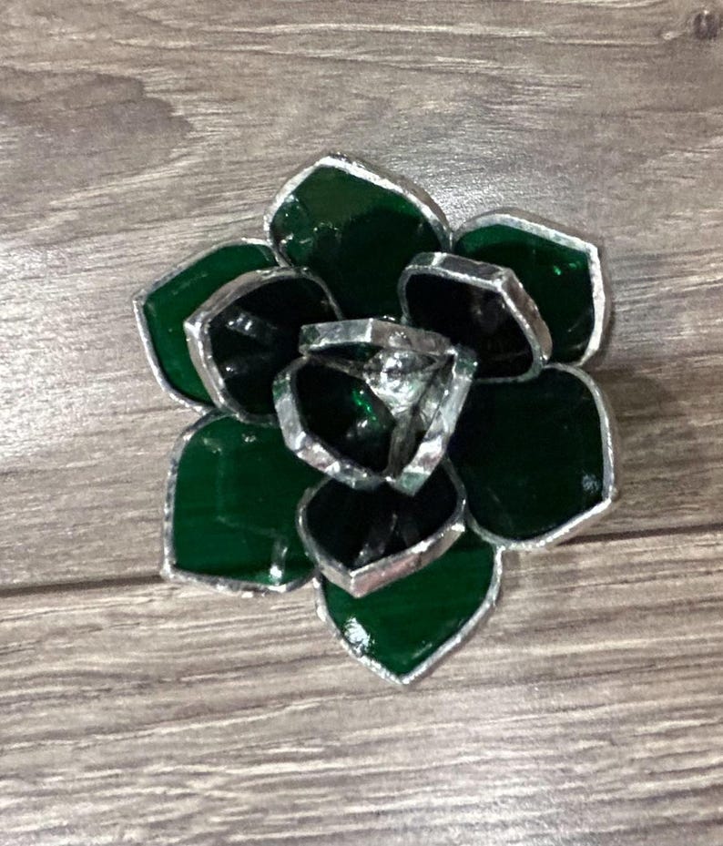 Mini Succulent Pattern Bundle image 4