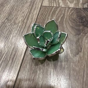 Mini Succulent Pattern Bundle image 2