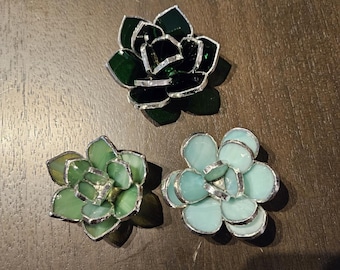 Mini Succulent Pattern Bundle