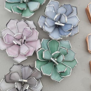 Medium Succulent Stained Glass Pattern